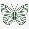 Artistic Insect PNG