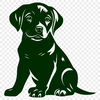 Beautiful Labrador Retriever In PNG Format - Free Download