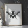 Beautiful Bee - Animal PNG