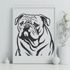 Creative Bulldog - Animal PDF