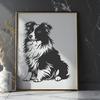 Artistic Shetland Sheepdog Clip Art