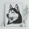 Stunning Husky - Laser PDF