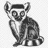 Free Creative Lemur Vector Art