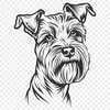 Free Free Miniature Schnauzer Clip Art