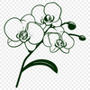 Free Unique Orchid Vector Drawing PDF - Commercial Use