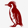 Free Beautiful Penguin Image