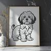 Havanese Vector Illustration In SVG, PNG, PDF And DXF Formats