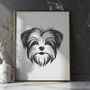 Free Morkie In SVG Format