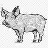 Stunning Pig PNG