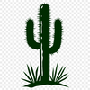 Free Unique Cactus Image