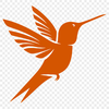 Creative Hummingbird In PDF & PNG