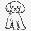 Stunning Sitting Poodle Drawing