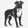 Standing Boxer Vector Drawing - Free DXF