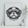 Stunning Shih Tzu In PNG - Free Digital Download