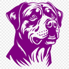 Free Beautiful Rottweiler Digital Art