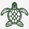 Free Beautiful Sea Turtle Image