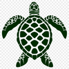 Sea Turtle Vector Illustration In PNG File Format For Free Download