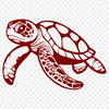 Sea Turtle Vector Drawing In PNG & SVG - Free Digital Download