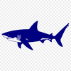 Artistic Shark Vector Illustration In SVG For Free Download