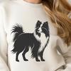 A breed standard illustration of the Shetland Sheepdog standing upright on its hind legs.