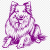 Laying Shetland Sheepdog PDF