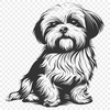 Artistic Shih Tzu Design