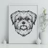 Artistic Shih Tzu In SVG - Free Digital Download