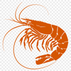 Stunning Shrimp Decal