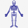 Beautiful Skeleton - SVG For Commercial Use