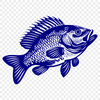 Unique Crappie In DXF - Free Download