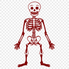 Creative Skeleton In DXF - Free Digital Download