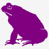 Toad Vector Drawing In PNG & SVG - Free Digital Download