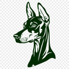 Doberman Pinscher Illustration In PNG & SVG - Free Digital Download