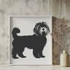 Beautiful Havanese PDFs - Free Download