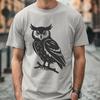 Free Owl Vector Drawing