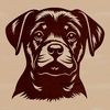 Rottweiler Breed Profile A large breed dog with distinctive markings and a muscular build.