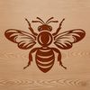 A detailed illustration of a bee in various poses, suitable for gardening or vector design projects.