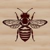Free Digital Bee Graphic An illustration of a bee in vector format, suitable for digital applications.