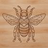 Ornate illustration of a bee in vector format.