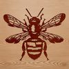 A detailed illustration of a bee with intricate details and lines, suitable for vector art design.