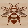 Floral Friend Vector Art A detailed illustration of a busy bee hovering around a flower.