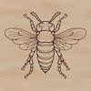 A detailed illustration of a honey bee with intricate details, suitable for vector design projects.