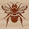 Illustration of a honeybee in flight with details of its body and wings.