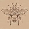 A detailed illustration of a honey bee with intricate details, ideal for gardening or educational purposes.