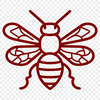 Stunning Bee Illustration - Free SVG