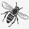 Bee In PNG Format - Free Digital Download, Commercial Use