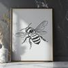 Beautiful Bee - Cricut SVG