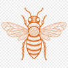 Ornate Bee PNG - For Animal Project