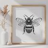 Creative Bee Drawing - Free PNG