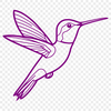 Vibrant Hummingbird Icon A stylized, intricately designed hummingbird icon suitable for digital projects and designs.